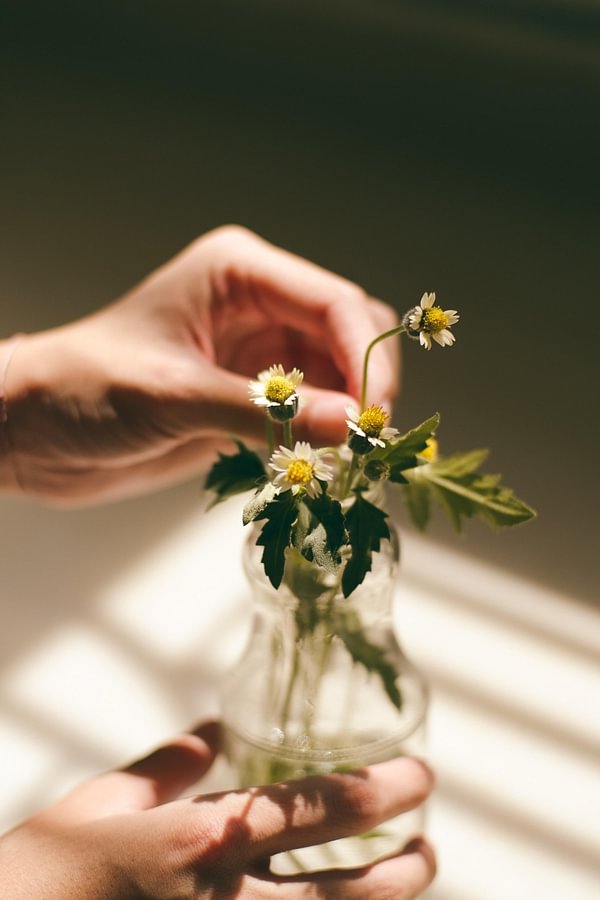 Where Do Essential Oils Come From? – Nuvia’s Creative Philosophy and the Unique Personality of Essen