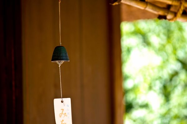 How Are Essential Oils Made? The 5 Methods of Extracting Essential Oils and Nuvia’s Philosophy