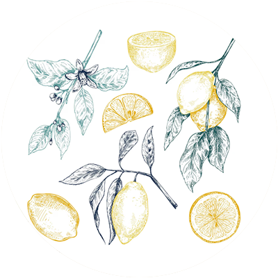 #14 Citrus Crest-Essential Oil Blend